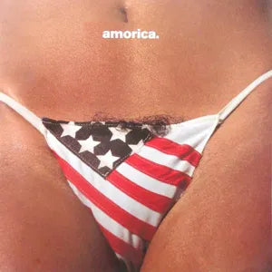Black Crowes, The - Amorica