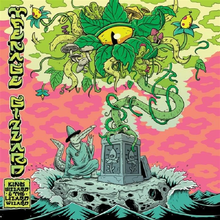 King Gizzard and the Lizard Wizard - Teenage Gizzard