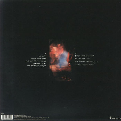 At the Gates - Terminal Spirit Disease
