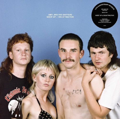 Amyl and the Sniffers - Giddy Up/Big Attraction