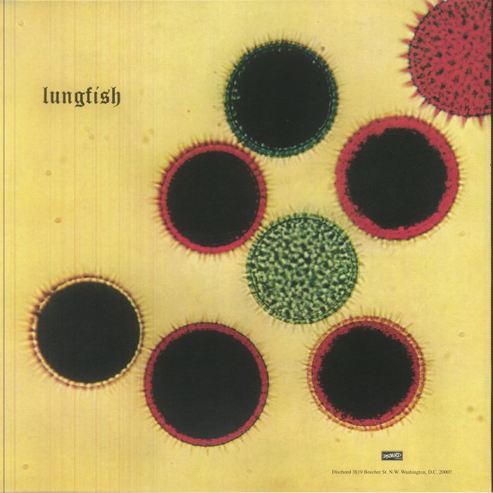 Lungfish - Artificial Horizon
