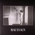 Bauhaus - In The Flat Field