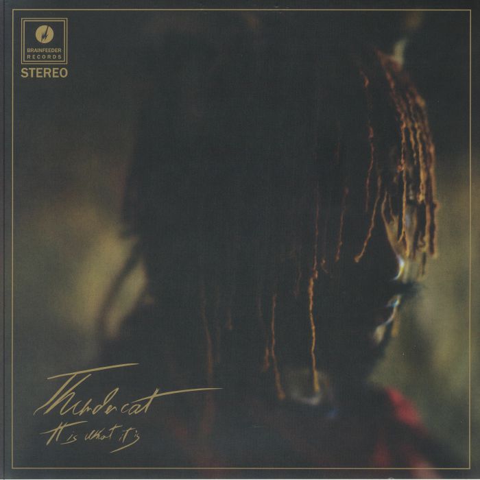 Thundercat - It is What it is