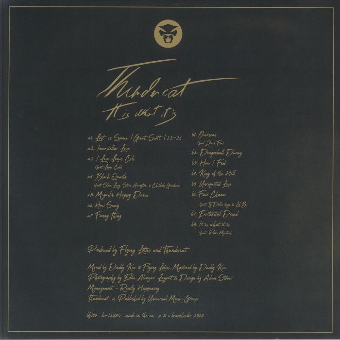 Thundercat - It is What it is