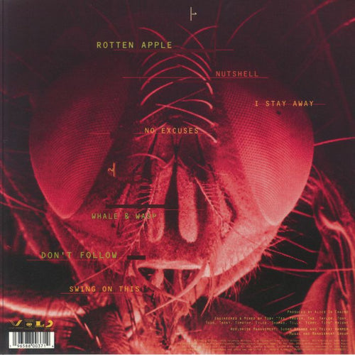 Alice In Chains - Jar of Flies
